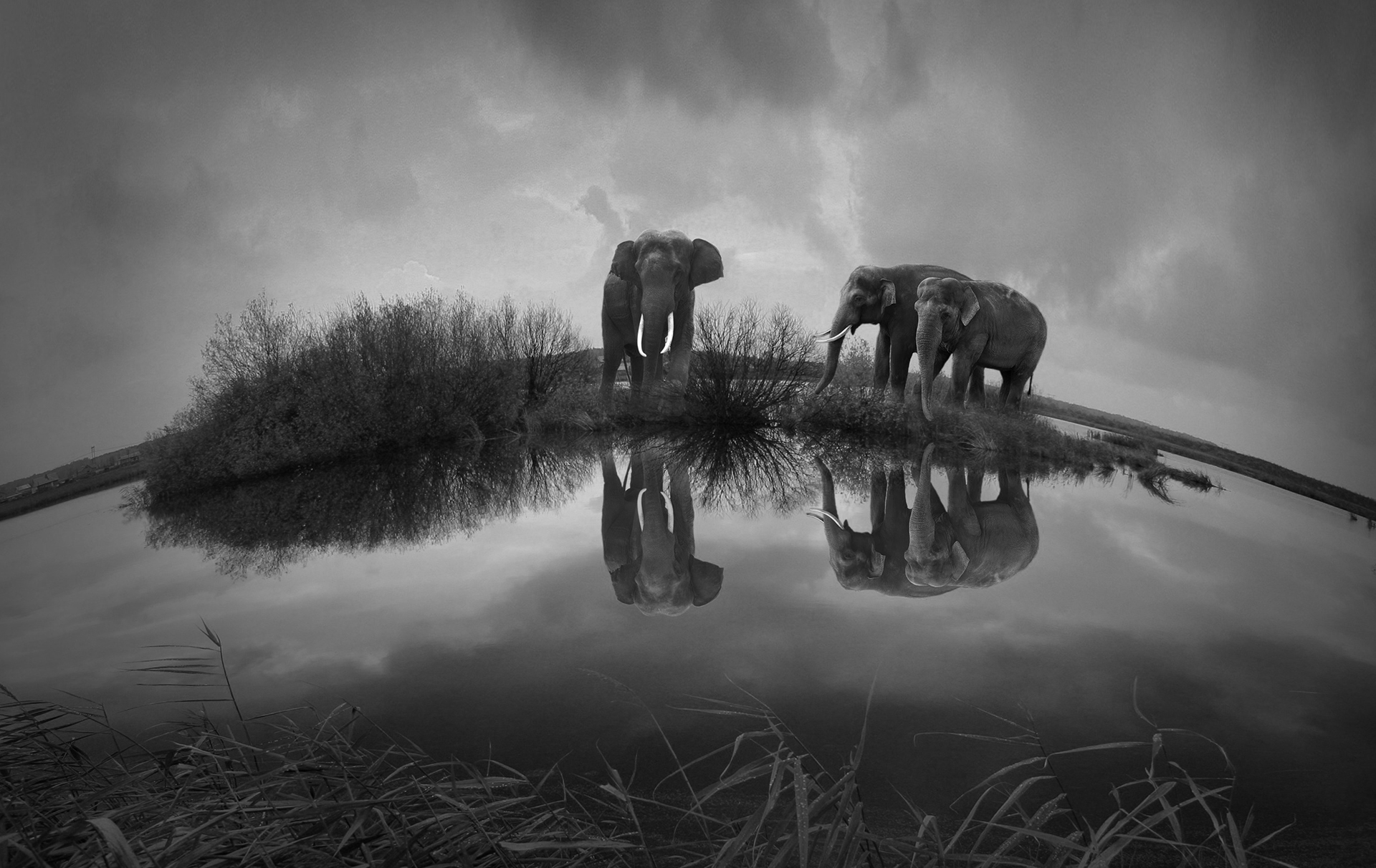 lorem ipsum dolor sit